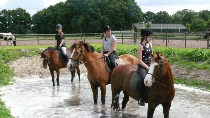 Ponyrijles bij De Burght